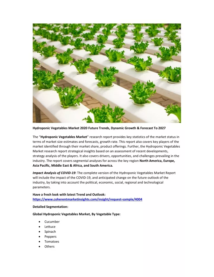 hydroponic vegetables market 2020 future trends