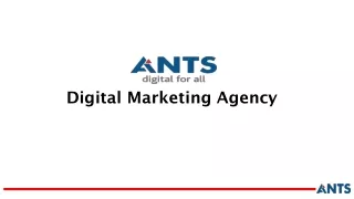 Best Digital Marketing Consultant in Gurgaon | Digital Marketing Company | Ants Digital