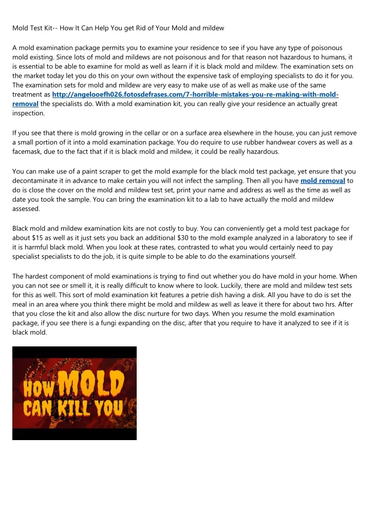 mold test kit how it can help you get rid of your