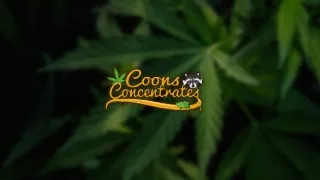 Home Medical-marijuana - Medicinal Cannabis