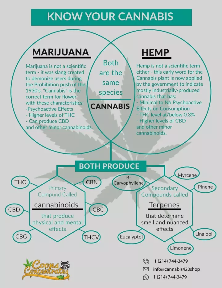 know your cannabis