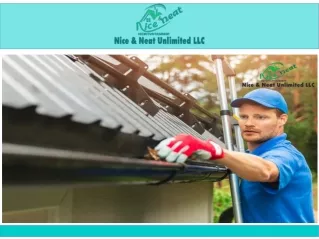 Gutter Cleaning