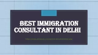 best immigration consultant in delhi