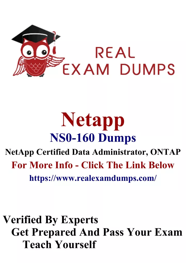 netapp ns0 160 dumps