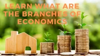 learn what are the branches of economics