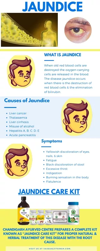 Ppt Jaundice Causes Types And Clinical Considerations Powerpoint