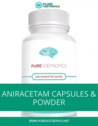 Aniracetam Capsules