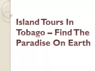 Island Tours In Tobago – Find The Paradise On Earth