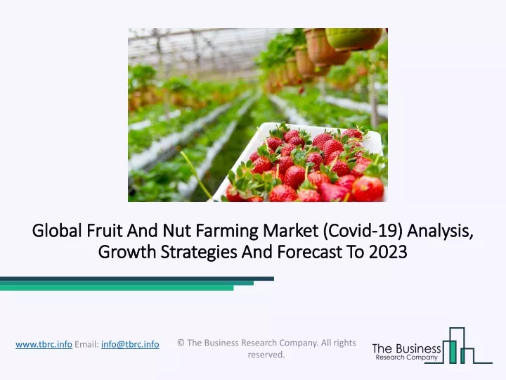 global global fruit and nut farming market fruit