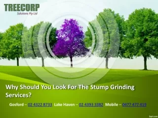 Why Should You Look For The Stump Grinding Services?