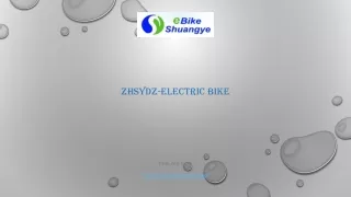 electric bike