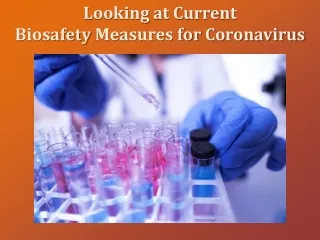 Looking at Current  Biosafety Measures for Coronavirus