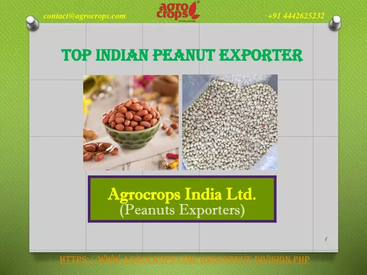 top indian peanut exporter