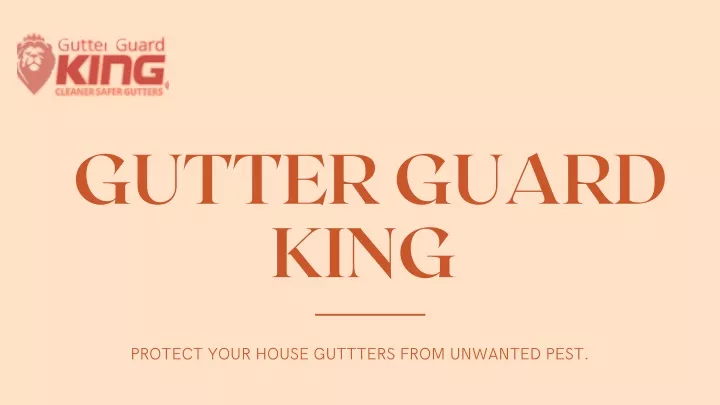 gutter guard king