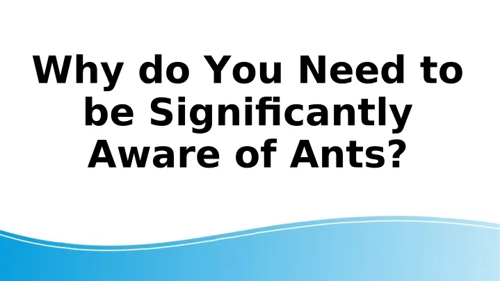 why do you need to be significantly aware of ants