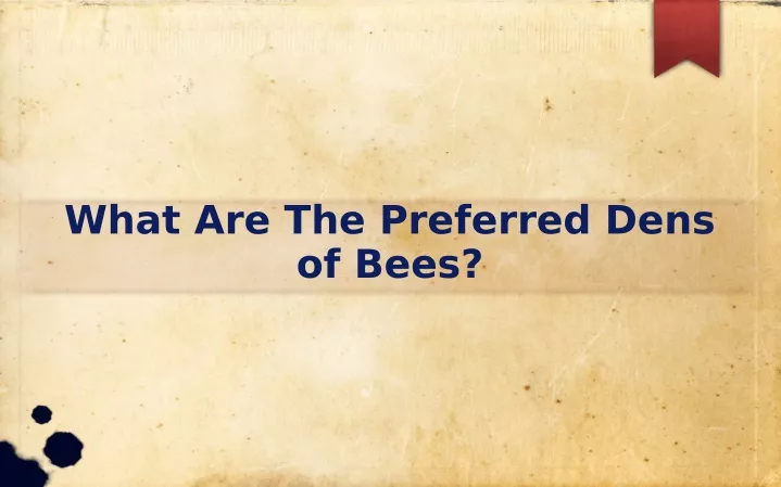 what are the preferred dens of bees