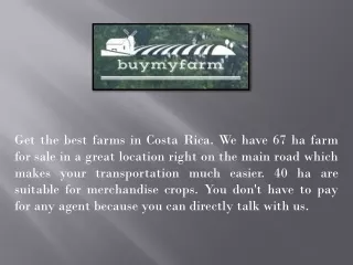 Buy Farm Costa Rica