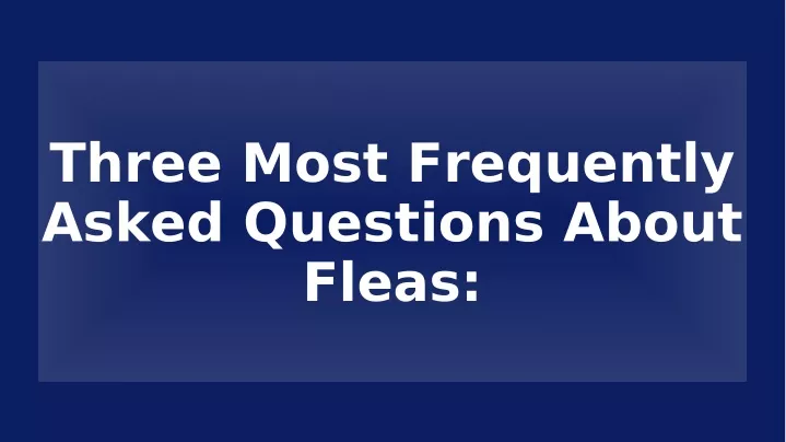 three most frequently asked questions about fleas
