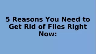 5 reasons you need to get rid of flies right now