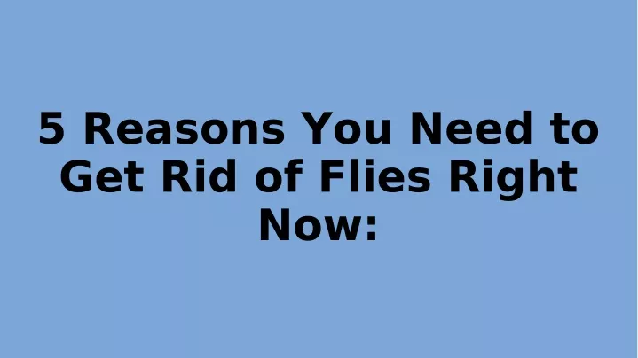 5 reasons you need to get rid of flies right now