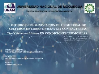 ESTUDIO DE BIOLIXIVIACIÓN DE UN MINERAL DE SULFUROS DE COBRE DE BAJA LEY CON BACTERIAS Tio- Y Ferro-oxidantes EN CONDIC
