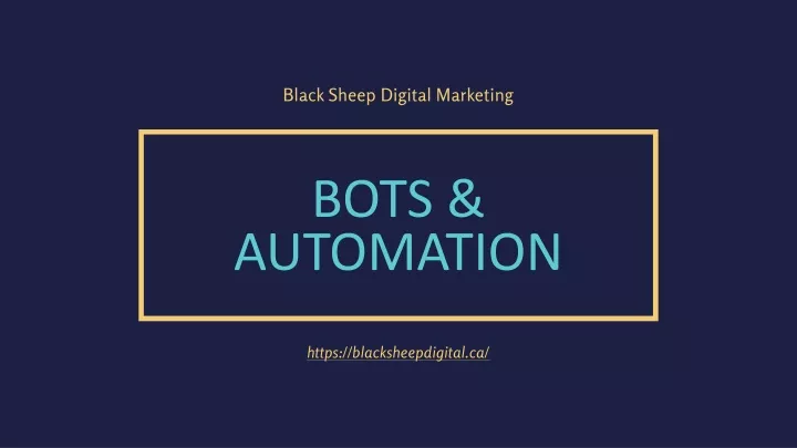 black sheep digital marketing