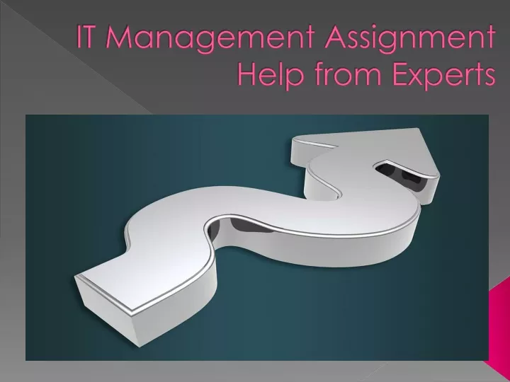 it management assignment help from experts