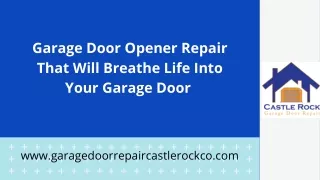 Look For Garage Door Opener Castle Rock