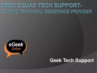 geek tech support