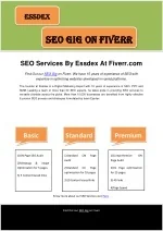 Essdex's SEO Gig on Fiverr - slide 1