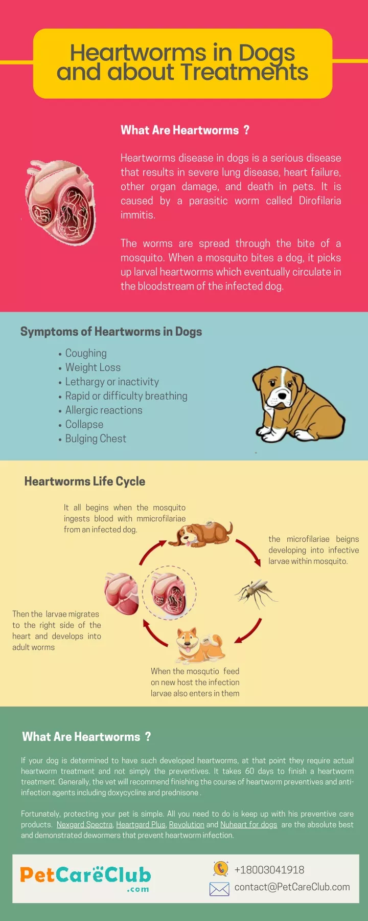 heartworms in dogs and about treatments