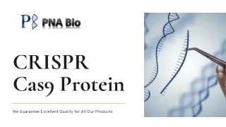 CRISPR Cas9 Protein