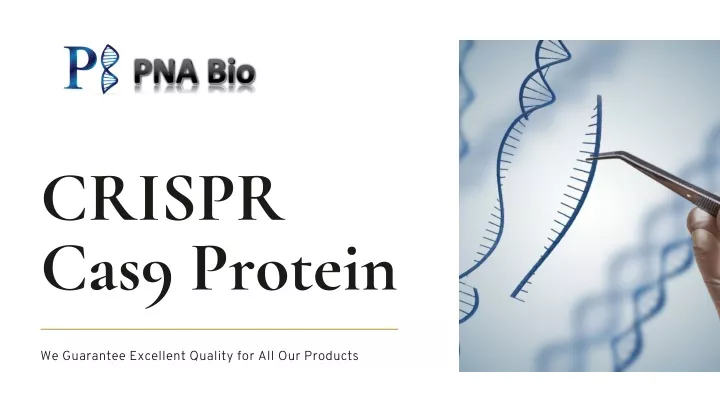 crispr cas9 protein