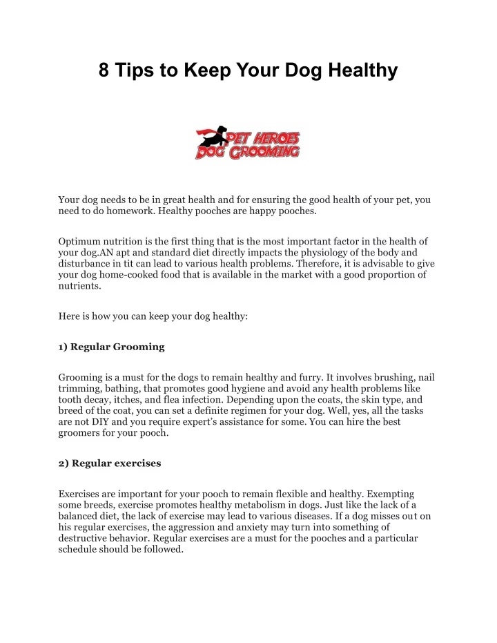 8 tips to keep your dog healthy