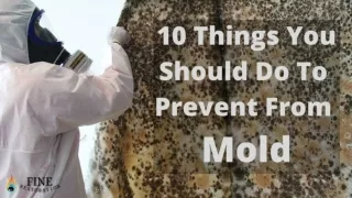 10 Things You Should Do To Prevent From Mold