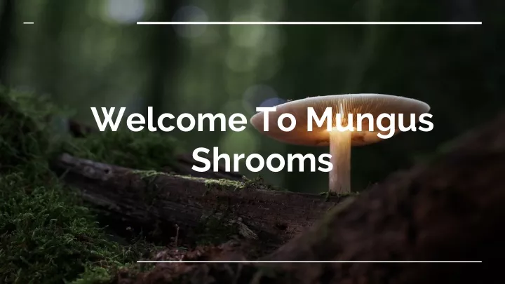welcome to mungus shrooms
