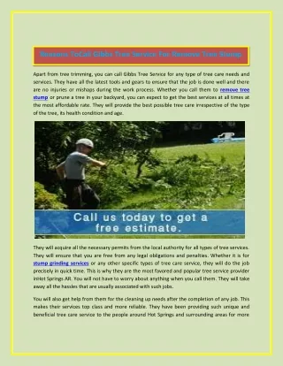 reasons tocall gibbs tree service for remove tree