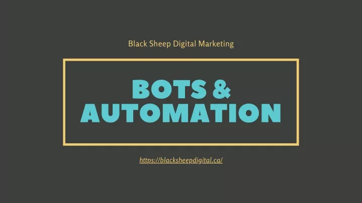 black sheep digital marketing