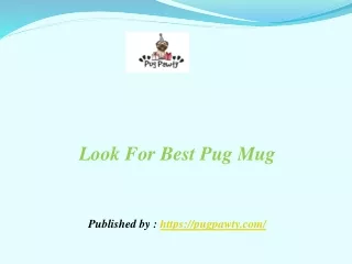 Look For Best Pug Mug