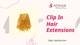 Clip in Hair Extensions