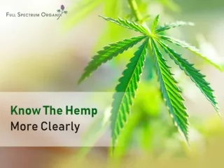 Know The Hemp More Clearly