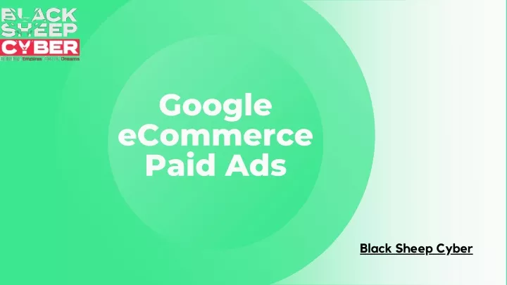 google ecommerce paid ads