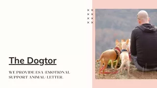 ESA Letter Online - The Dogtor