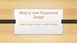 What is User Experience Design - Avantika University