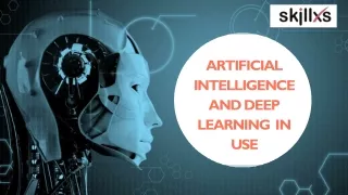 Artificial Intelligence and Deep Learning  in Use