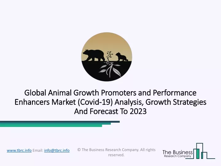 global animal growth promoters and performance