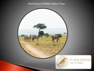 best kenya wildlife safari tour