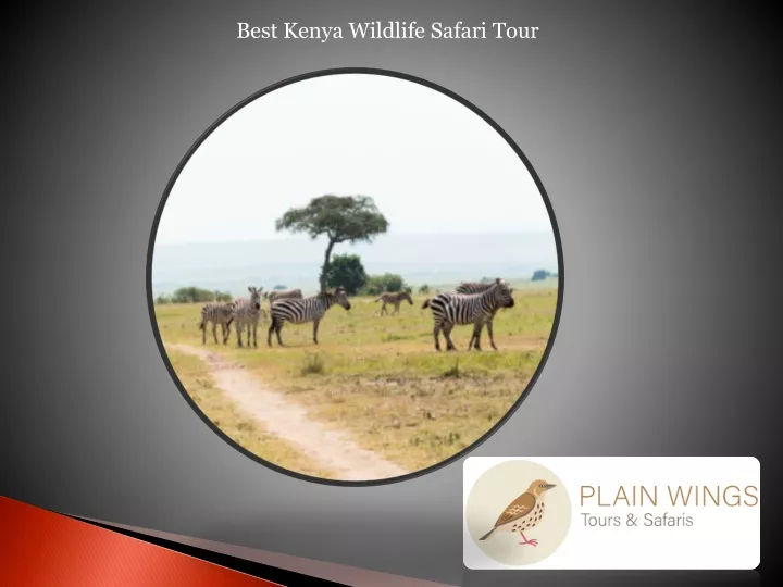 best kenya wildlife safari tour