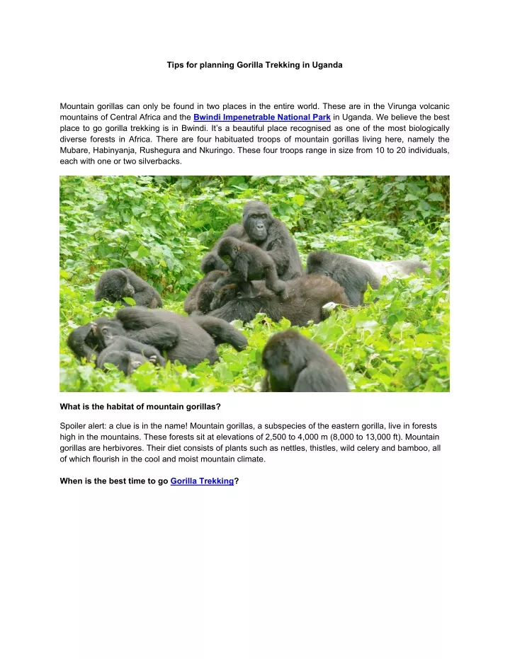 tips for planning gorilla trekking in uganda