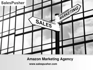 Top-Rated Amazon Marketing Agency - www.salespusher.com